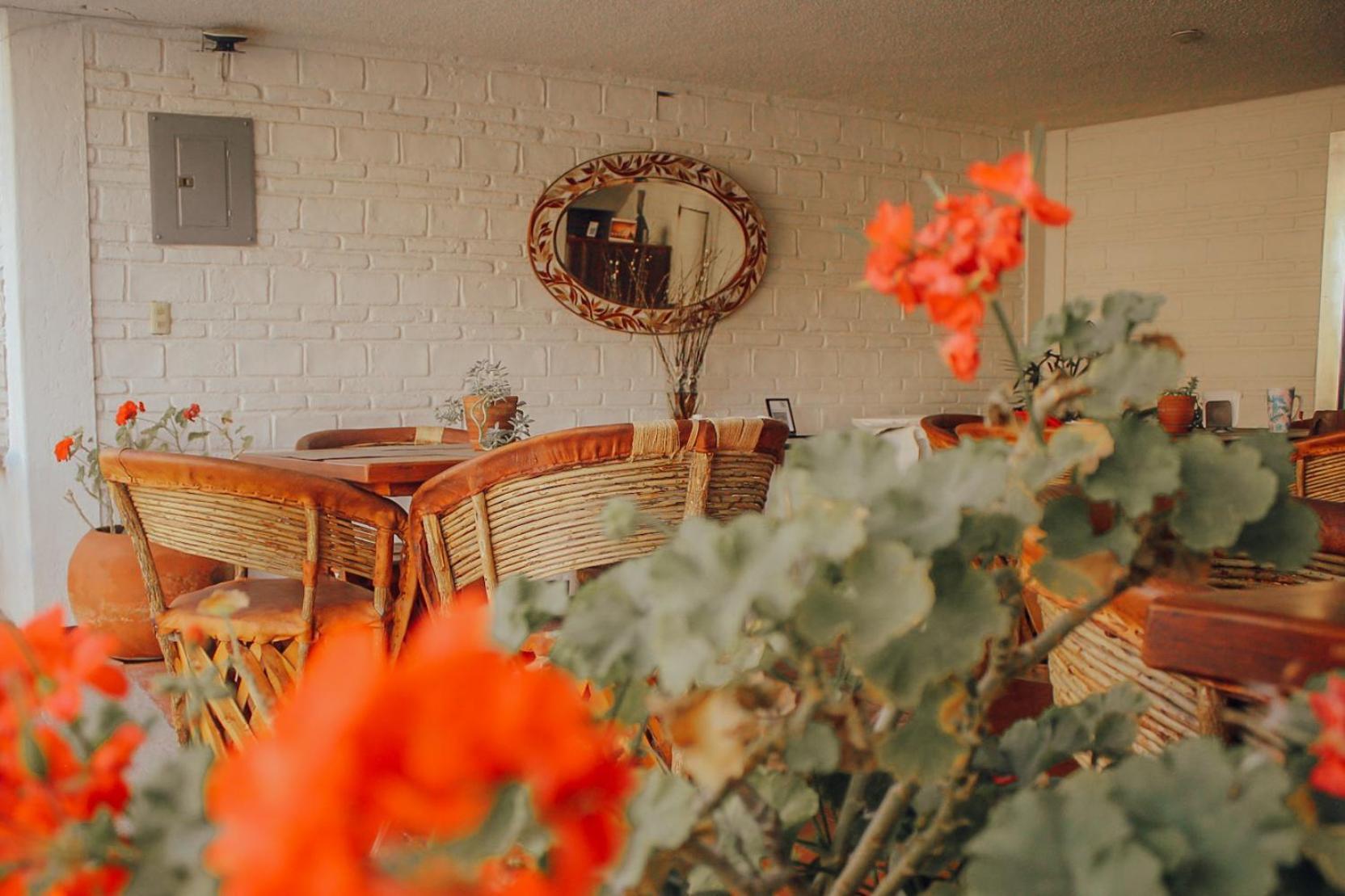 Hotel Ilebal Cuernavaca Centro - Lugar Con Encanto! ภายนอก รูปภาพ