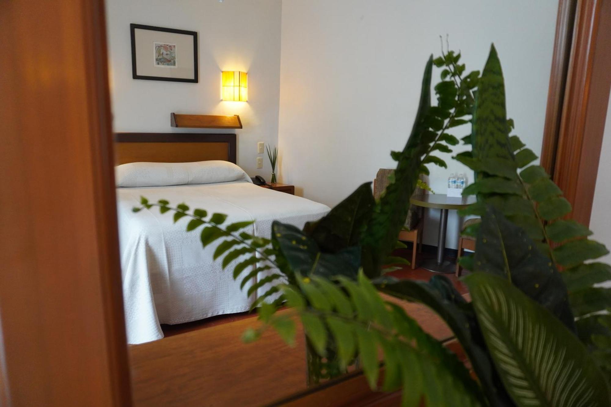 Hotel Ilebal Cuernavaca Centro - Lugar Con Encanto! ภายนอก รูปภาพ