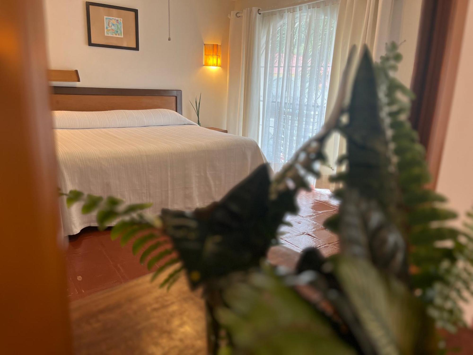 Hotel Ilebal Cuernavaca Centro - Lugar Con Encanto! ภายนอก รูปภาพ