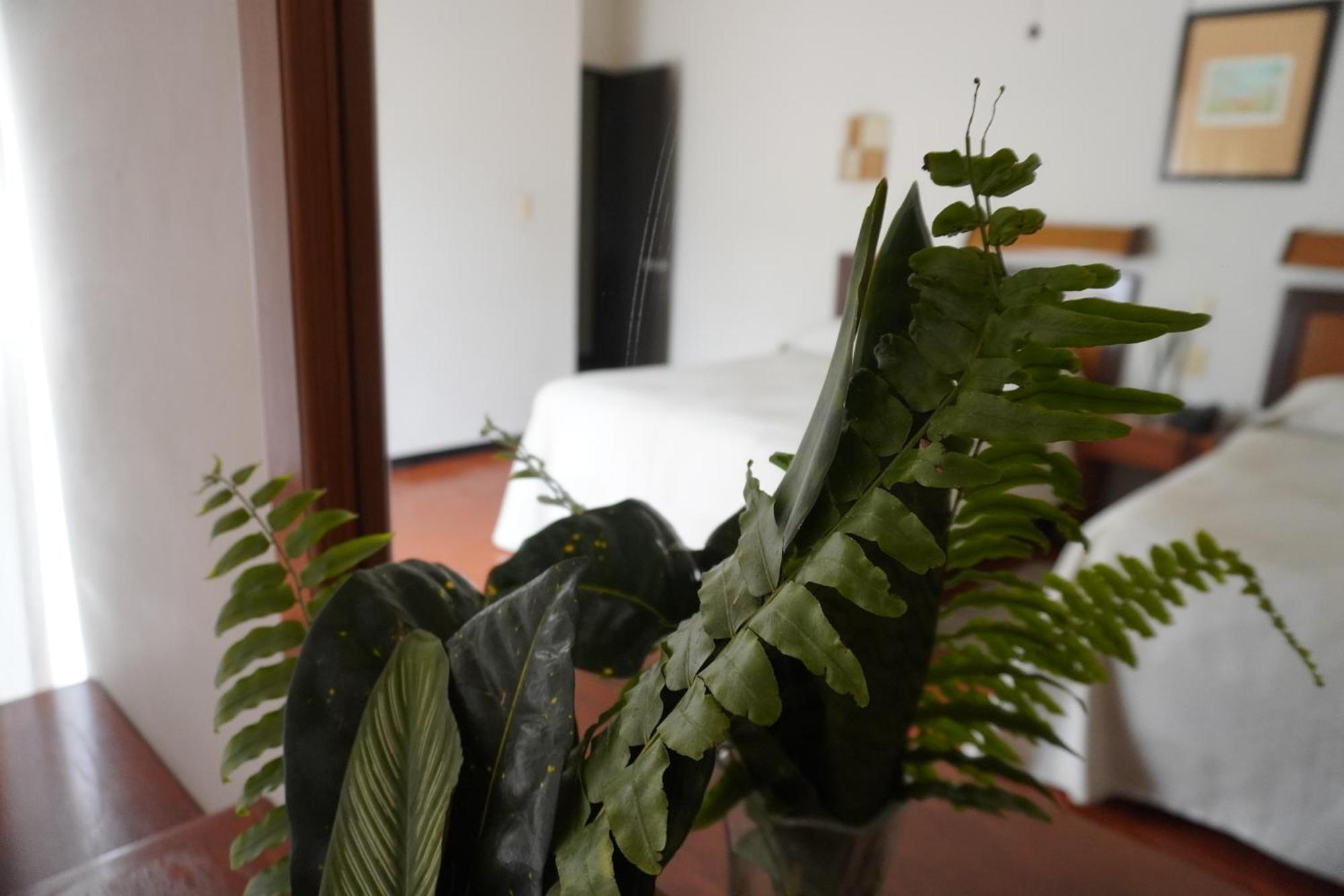 Hotel Ilebal Cuernavaca Centro - Lugar Con Encanto! ภายนอก รูปภาพ